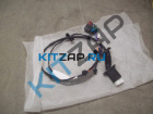 ���� �������� ������ ������ �����
